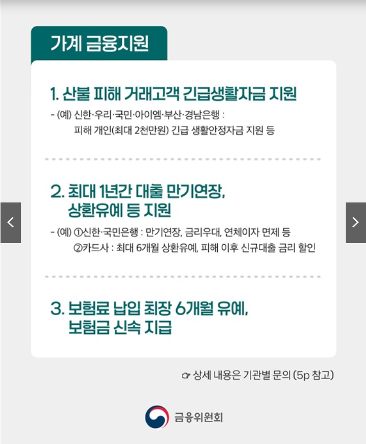 산불 피해 금융 지원