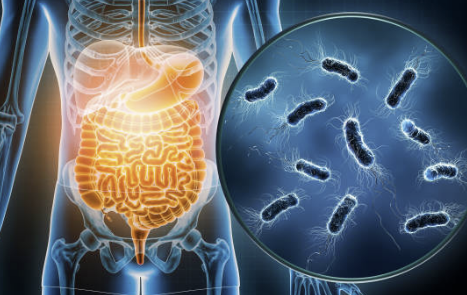 장염 증상 원인 빨리낫는법 장염에 좋은 음식 알아보기(최신)