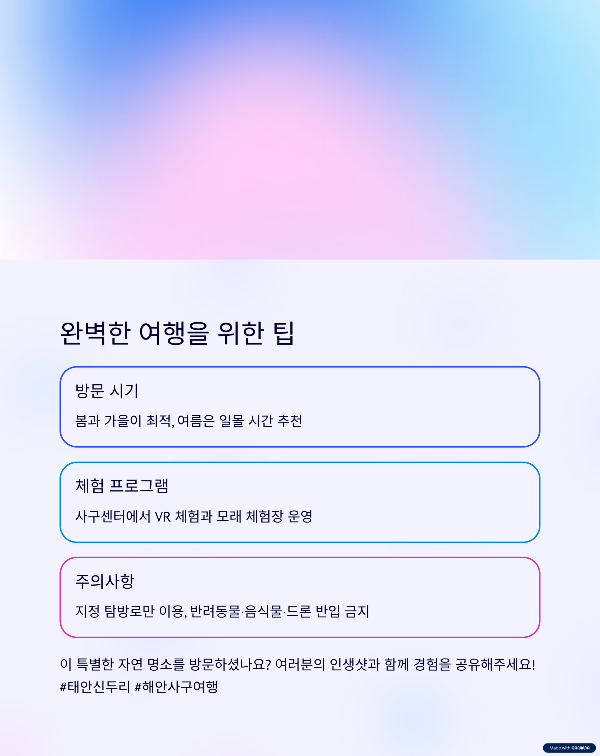 국내 최대 해안사구를 걷다 – 태안 신두리 해안사구