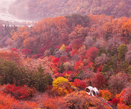 화담숲 전경