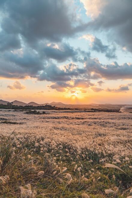 10월 제주도 가볼만한 곳, 축제