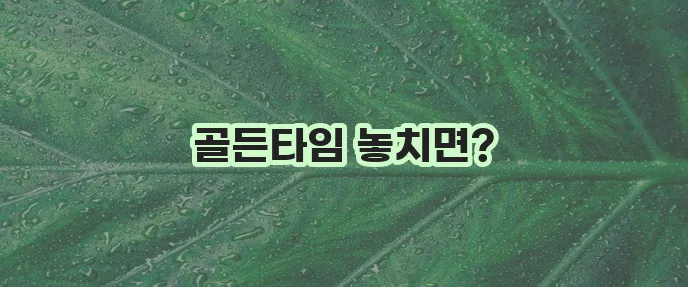 돌발성 난청 원인과 치료기간 핵심 정리했습니다!
