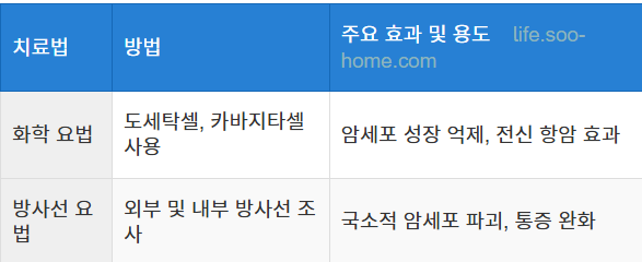 화학 요법과 방사선 요법