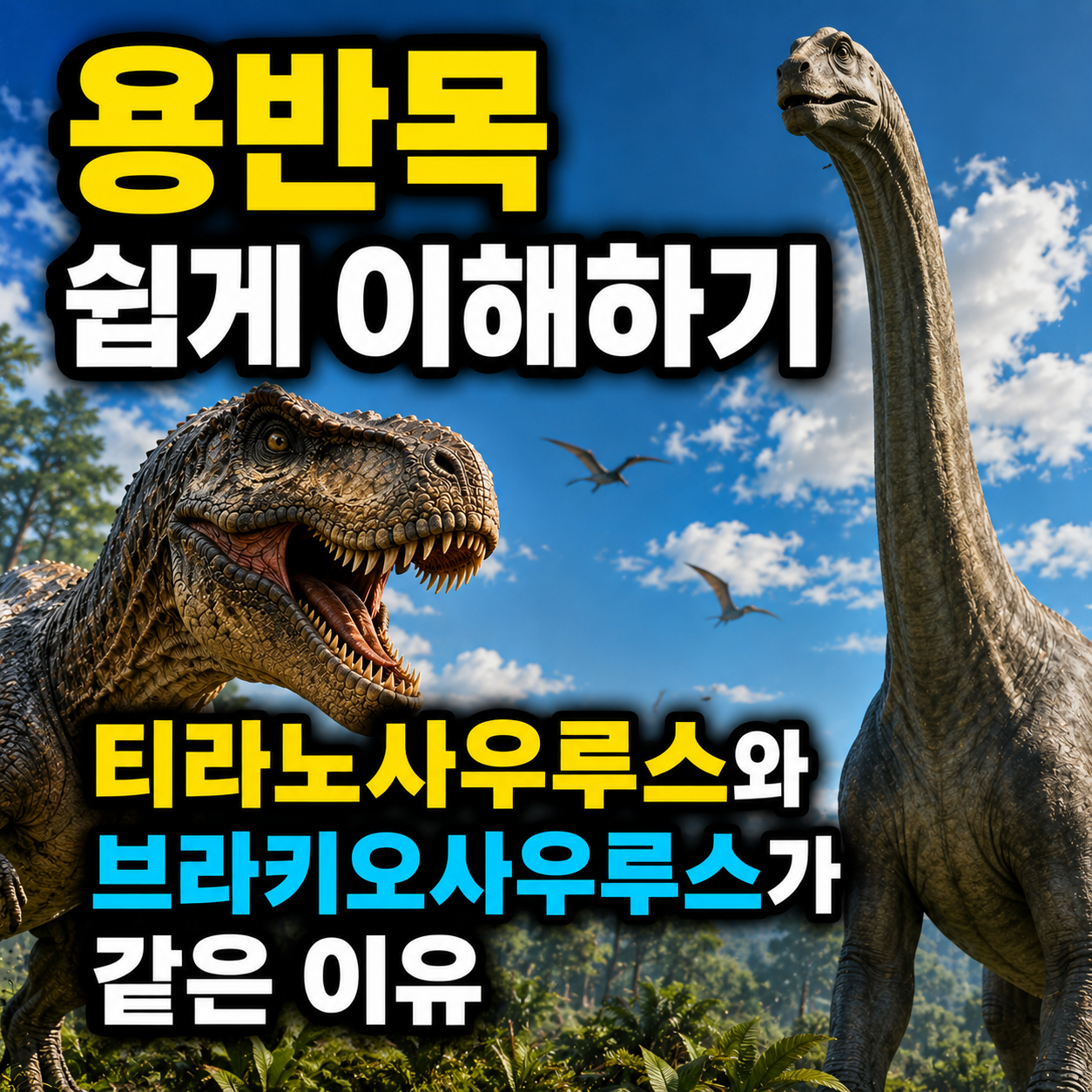 용반목 쉽게 이해하기