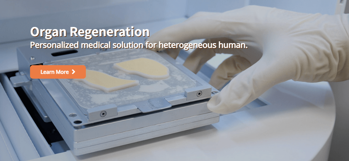 21대 대통령 선거 : 이준석 대선후보 관련주(테마주)