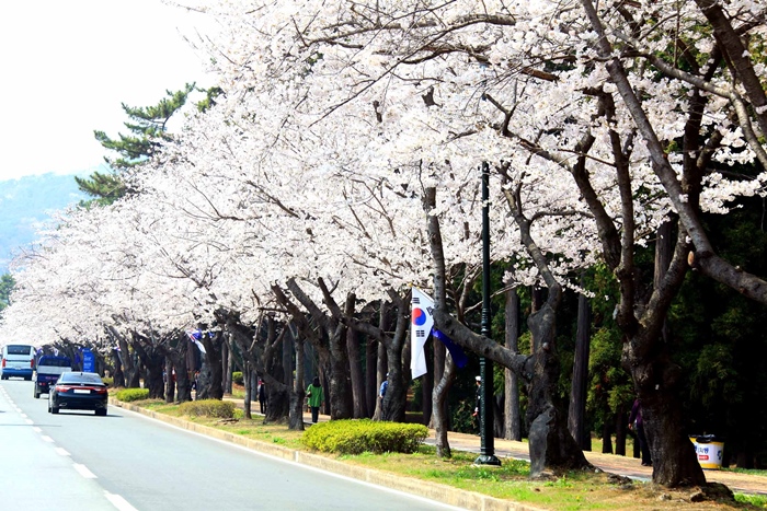 해군진해기지사령부