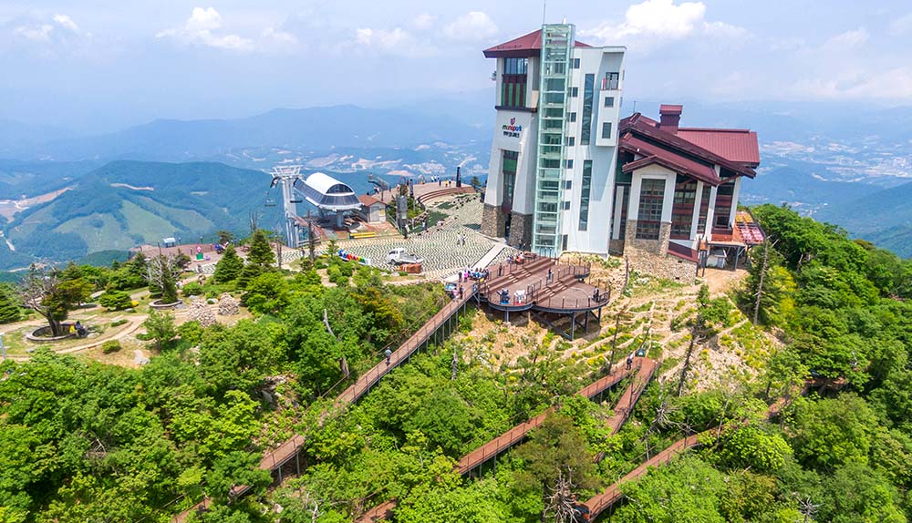 발왕산 천년주목숲길 케이블카