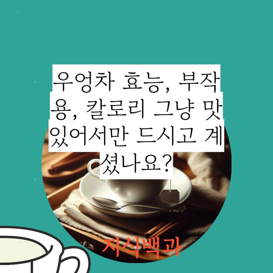 우엉차 효능, 부작용, 칼로리 그냥 맛있어서만 드시고 계셨나요?