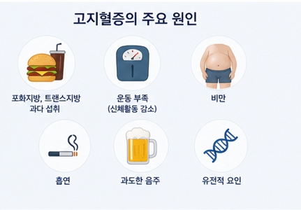 고지혈증이미지