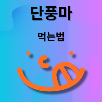 단풍마 먹는 방법