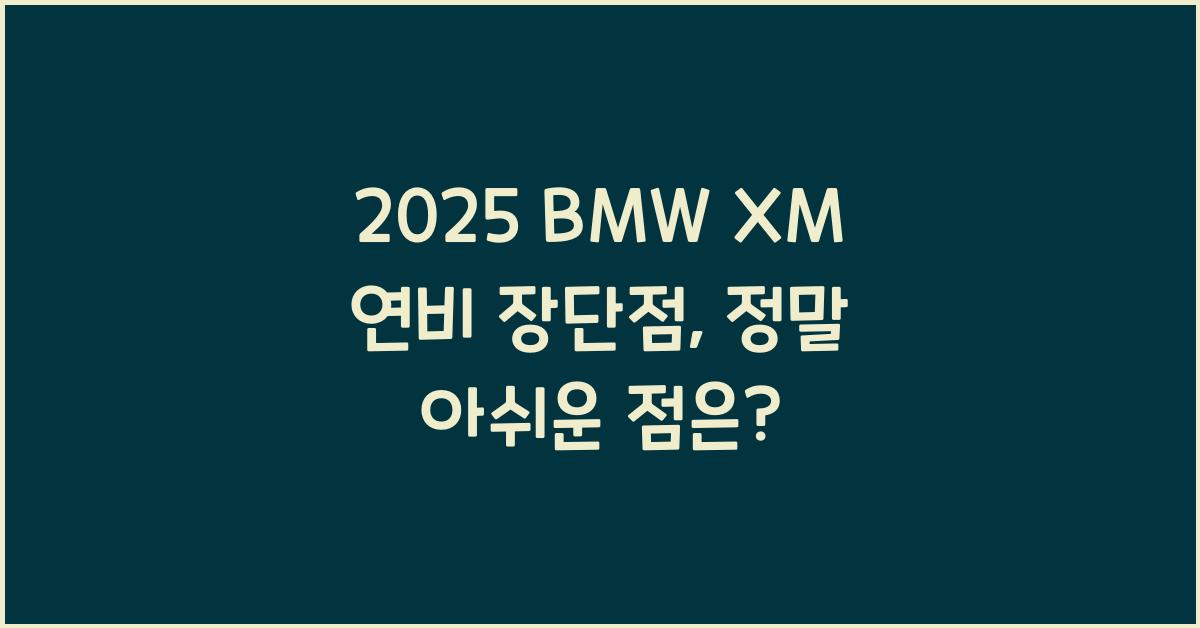 2025 BMW XM 연비 장단점