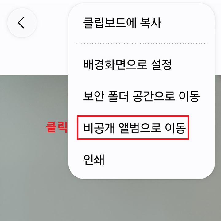 메뉴창 아래쪽에 비공개 앨범으로 이동 메뉴 보임