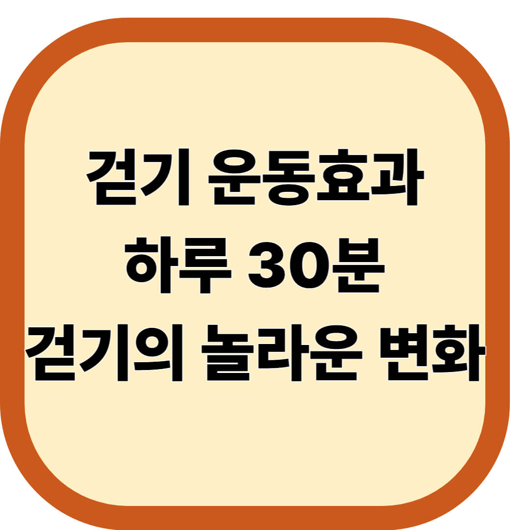 걷기 운동효과