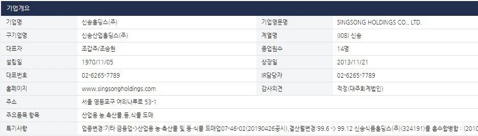 신송홀딩스-개요