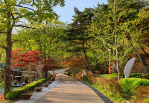 자연휴양림 BEST 5 2023년 신축