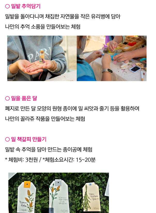 양평 밀 축제