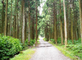 자연휴양림 예약