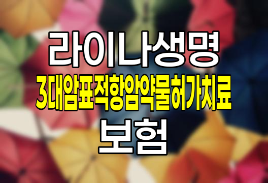 라이나생명 3대암표적항암약물허가치료 보험 특징과 보장내용