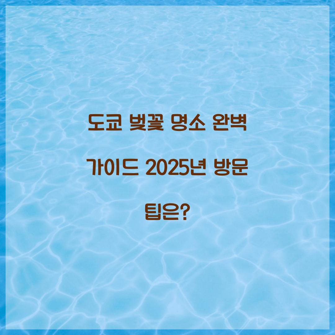도쿄 벚꽃