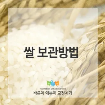 쌀 보관 김치냉장고 벌레 페트병 건식 보관 요령_8