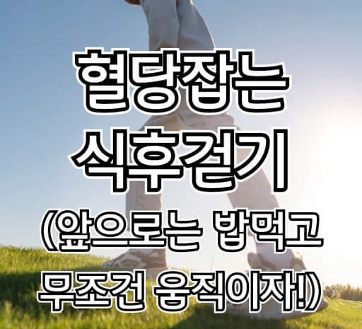 걷는 시간대에 따른 효과