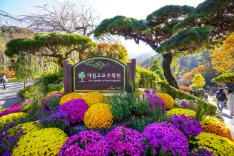 아침고요수목원 입장료 근처 맛집 펜션 추천_4