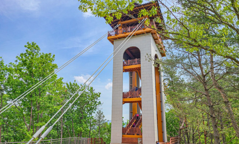 문경 봉명산 출렁다리