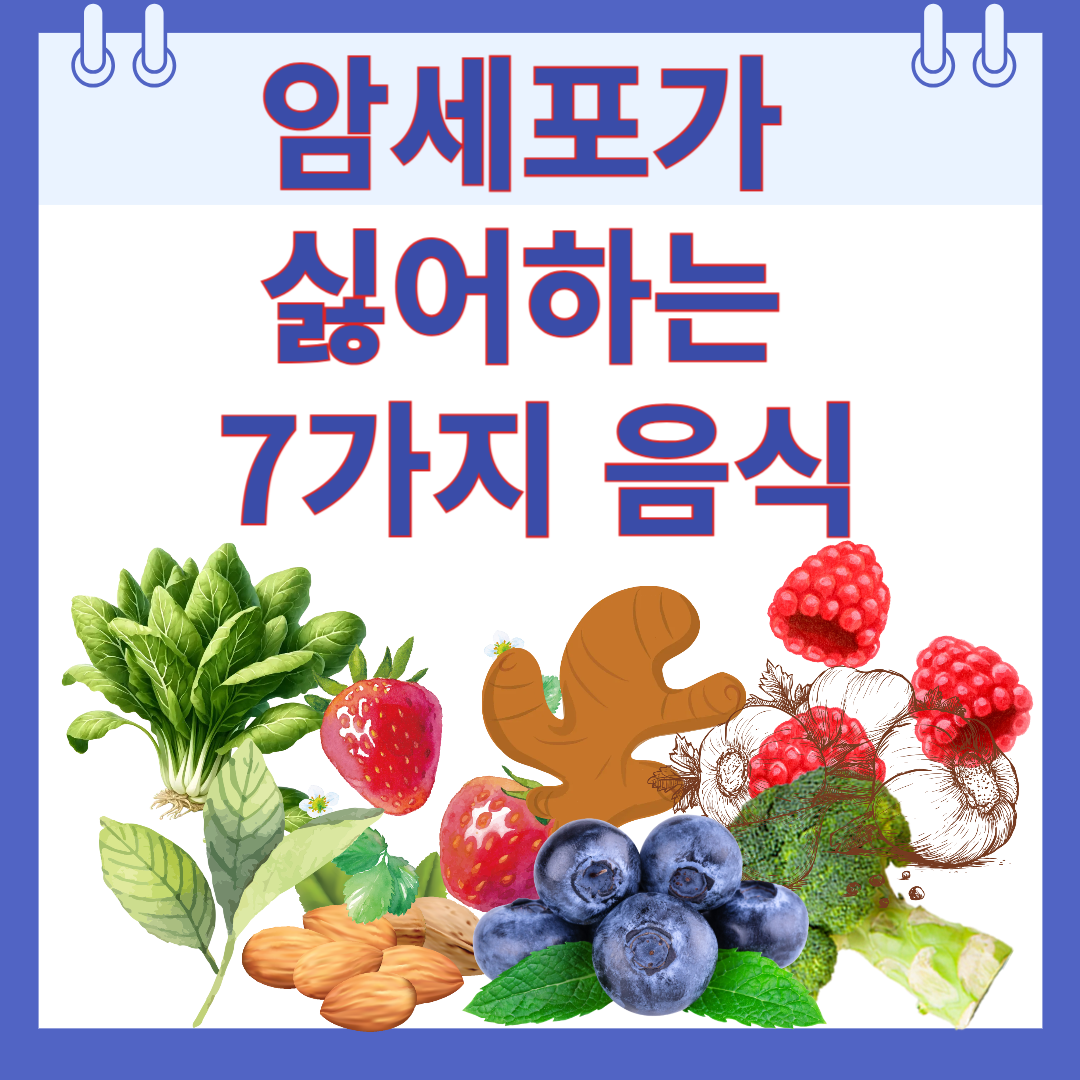 암세포가 싫어하는 음식