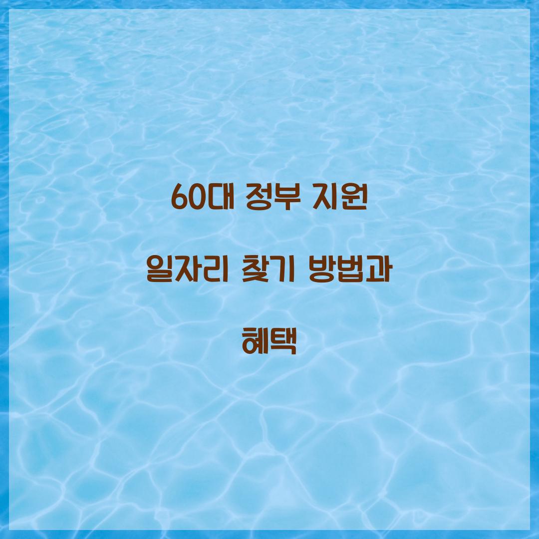 60대 정부 지원 일자리