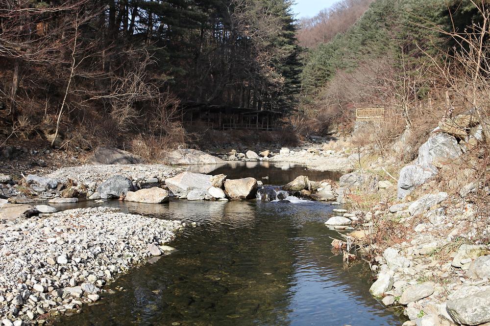 힐링별밤수목원캠핑장 소개