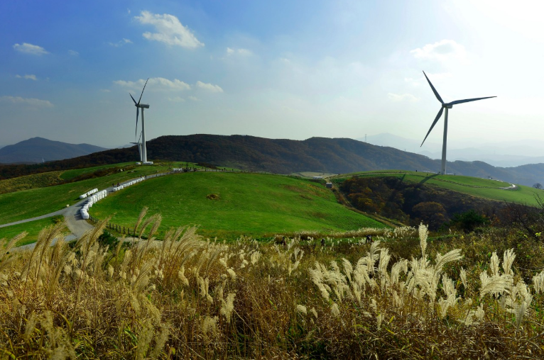 생방송투데이 대관령하늘목장 강원도 평창