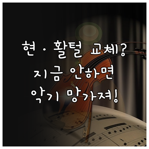 바이올린 현 활털 교체 주기와 내부 ..