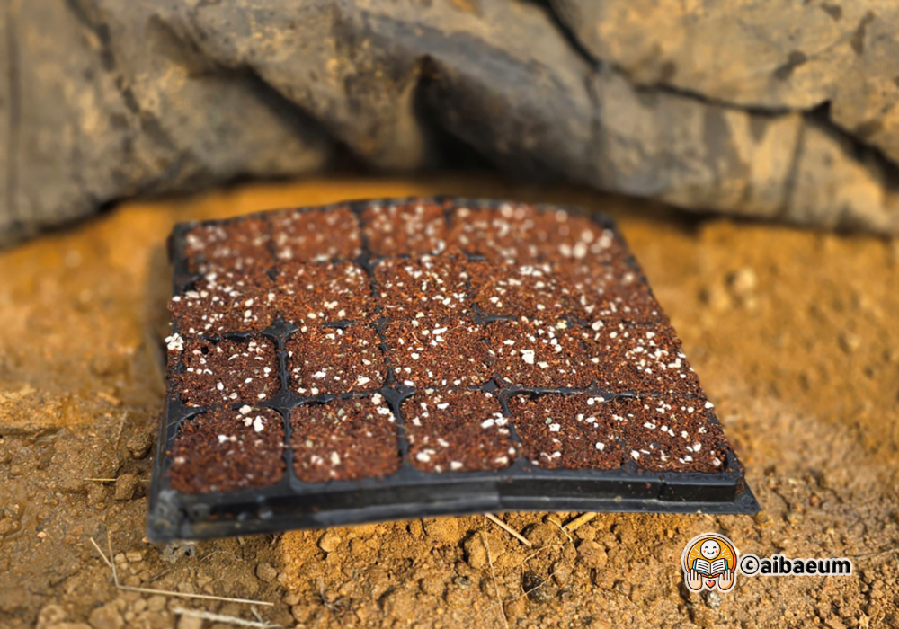 ai_2_모판 만들기