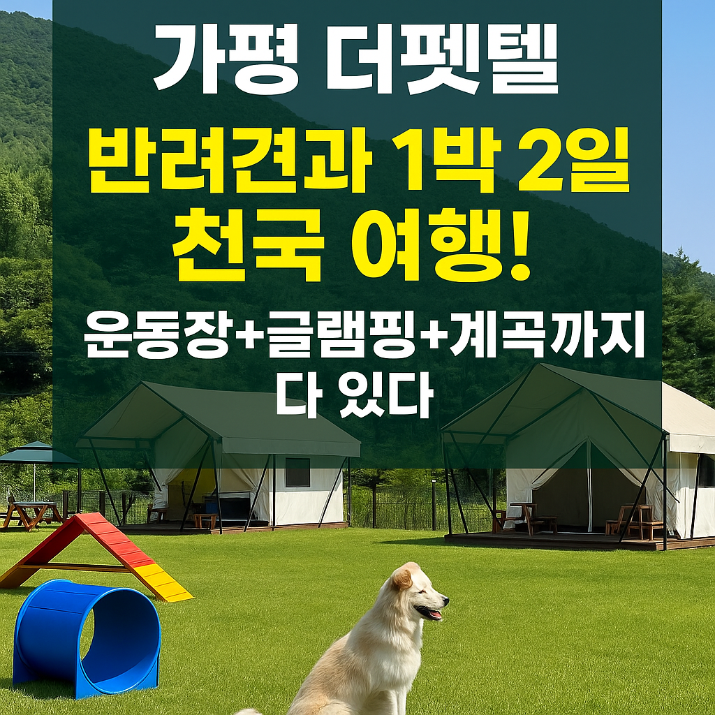 가평 더펫텔, 반려견과 1박 2일 천국 여행! 운동장+글램핑+계곡까지 다 있다!