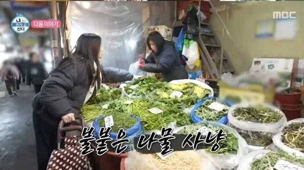 아기맹수 김시현 나혼자산다