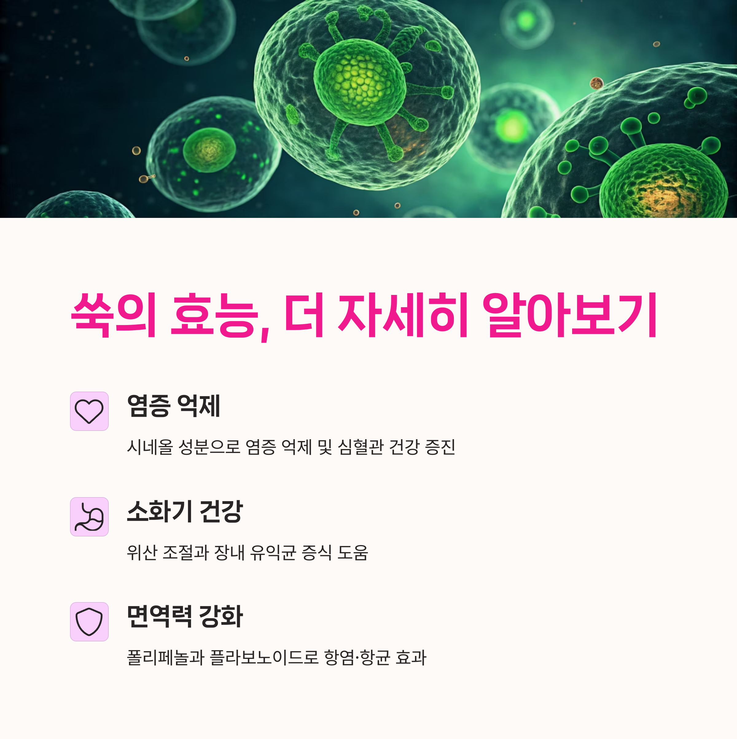 소화기건강,한방효능,