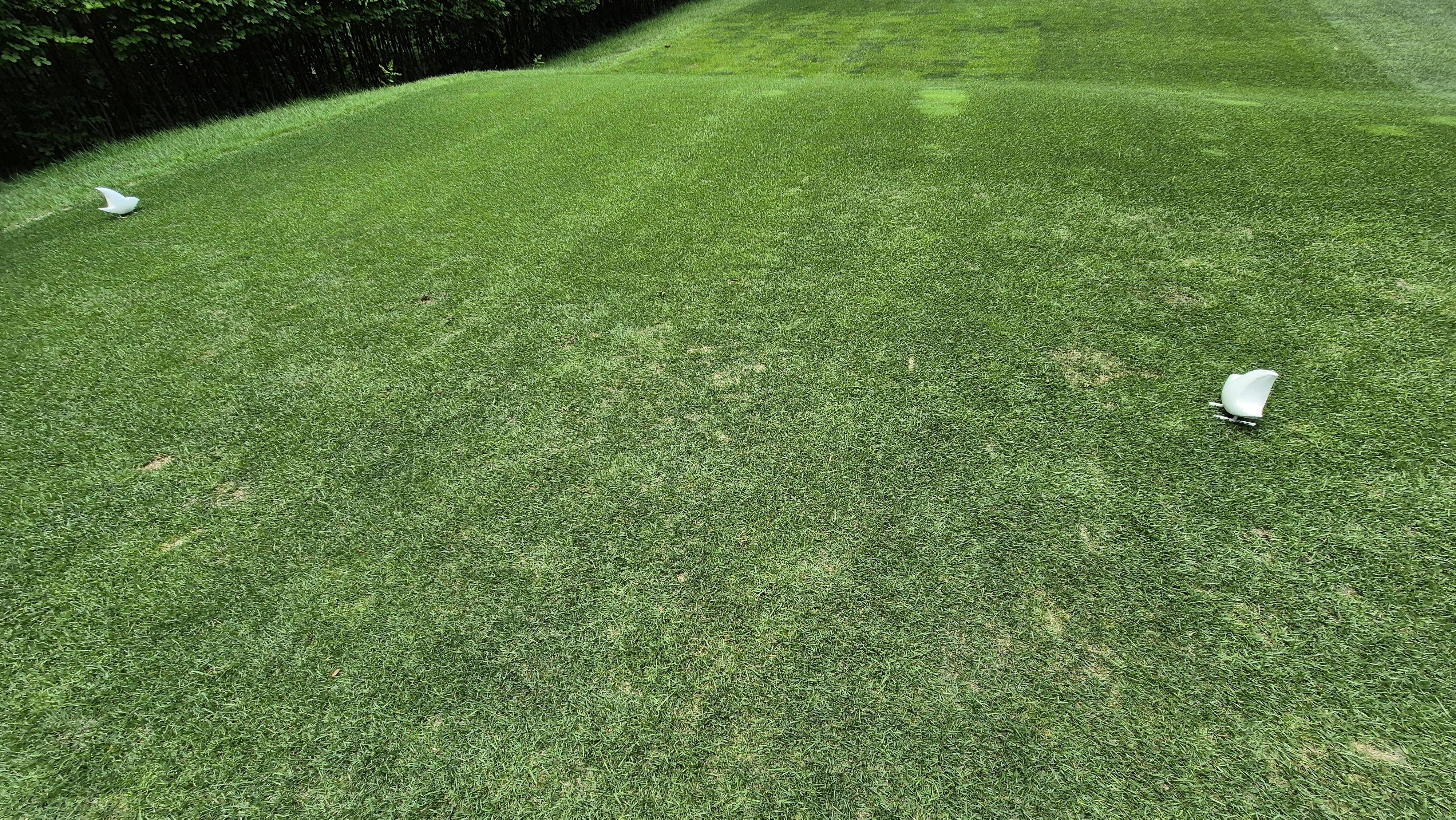 한성cc 오렌지-그린 코스 라운드 후기