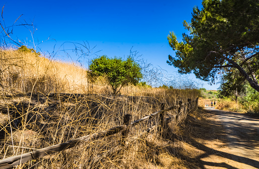 비타민D 하루 권장량