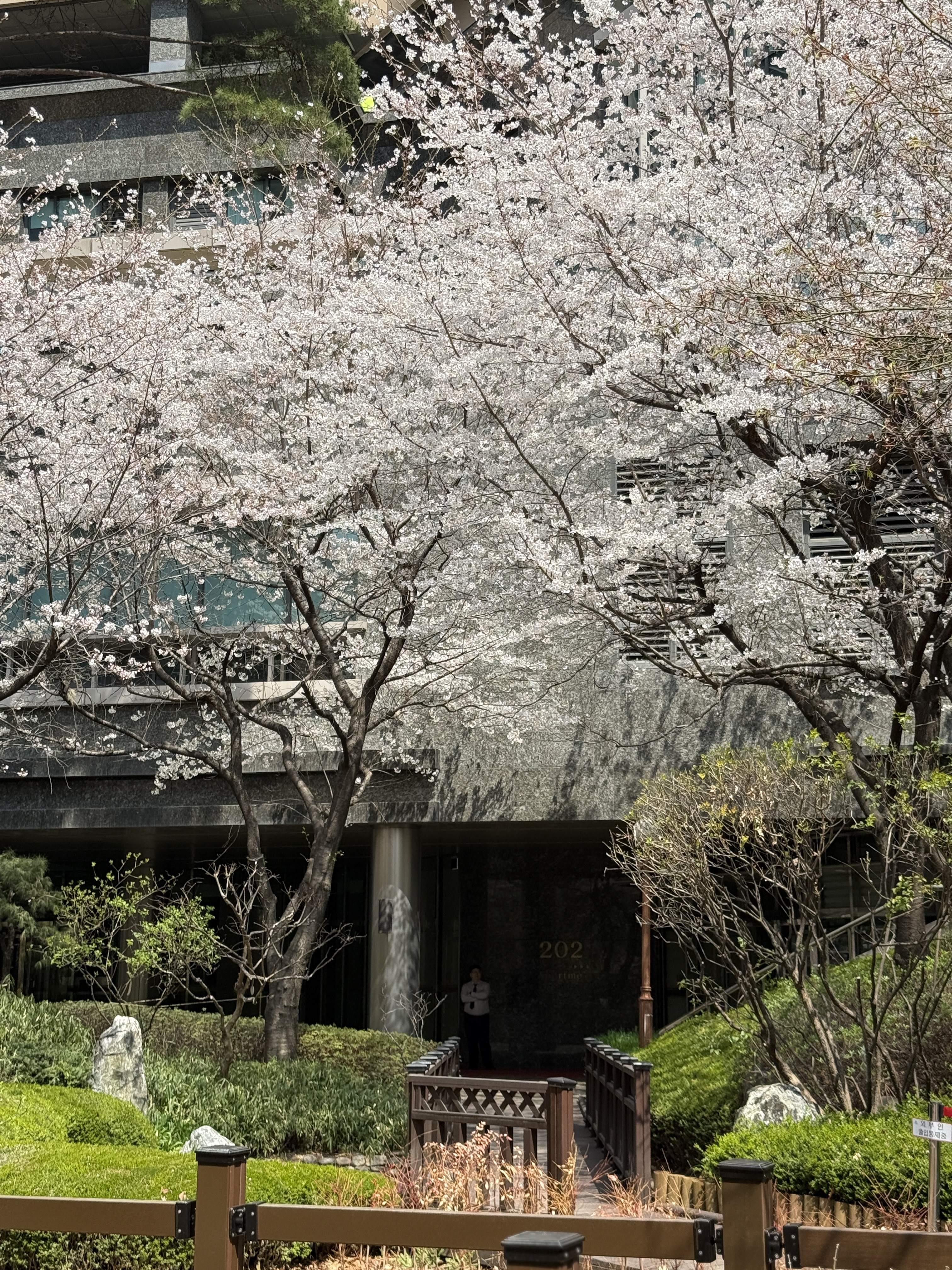 오한수 우육면가 용산점 앞 산책로 사진