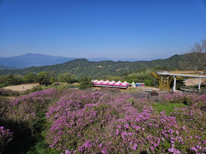 [5월 축제]2025 산청 황매산 철쭉제❘개요, 체험 프로그램 예약, 철쭉 실시간 개화상황