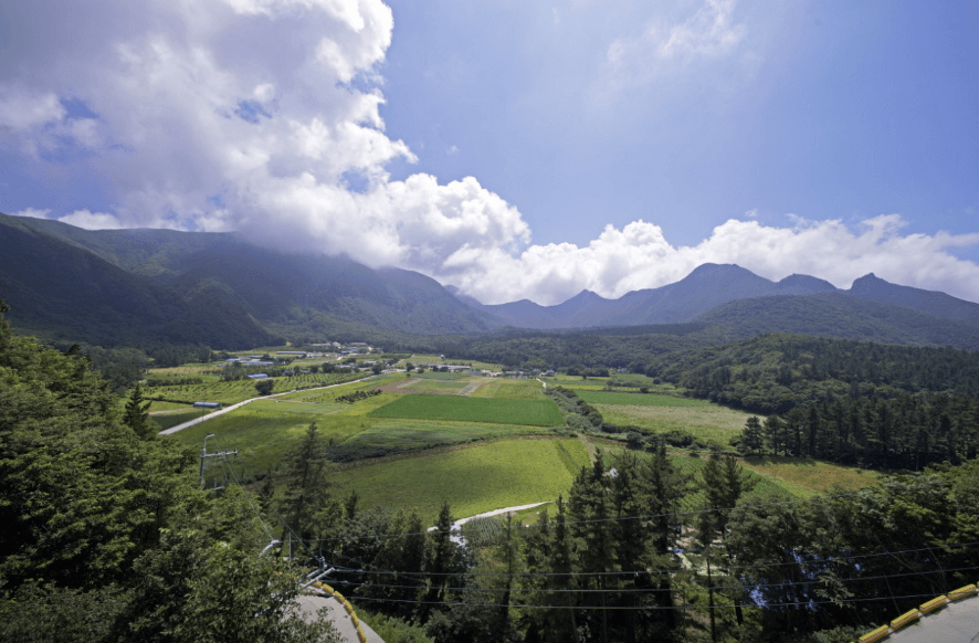나리분지 울릉도 유일의 평지에서 즐기는 여유