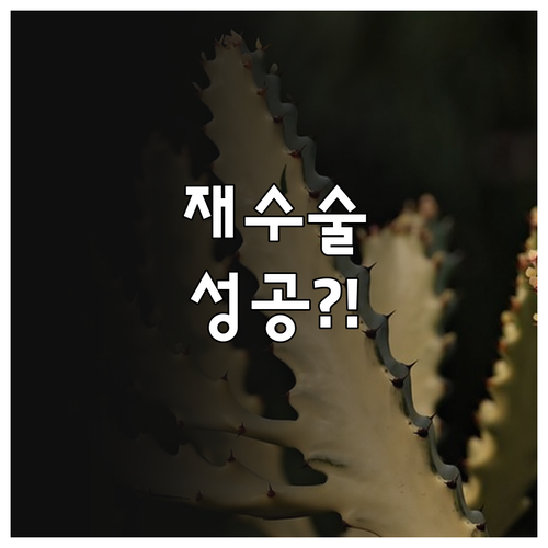 눈밑지방 재배치 재수술 성공 체크리스..