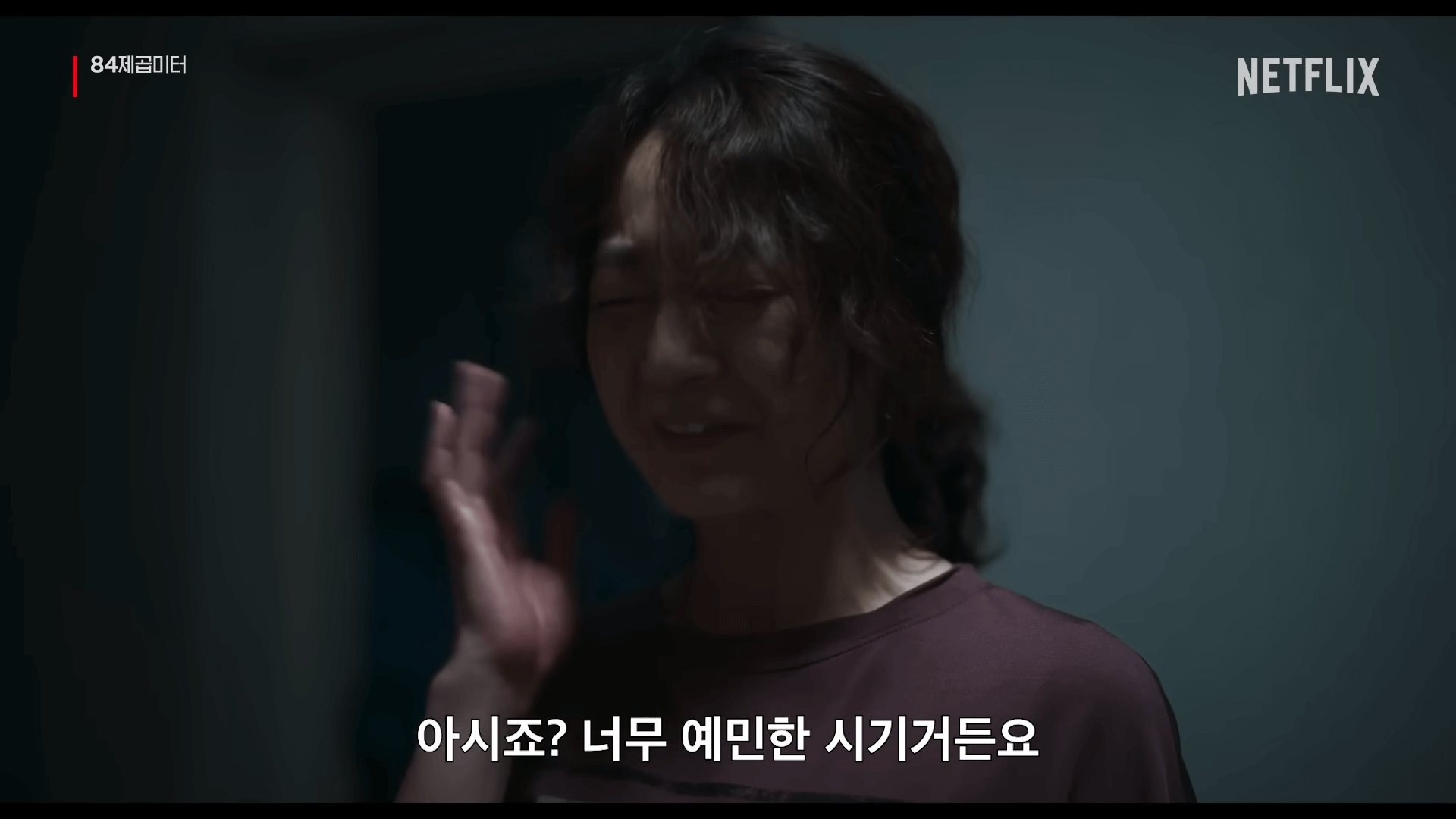 84제곱미터 정보