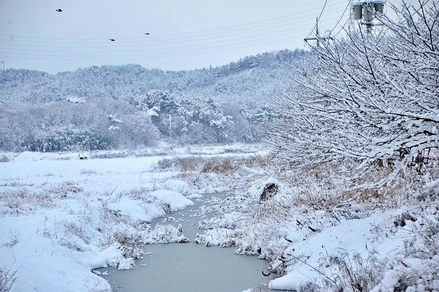 송구영신 대표 기도문