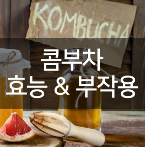 콤부차효능 부작용 티젠 콤부차 효능 섭취 방법