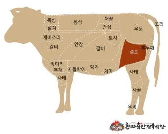 소고기 설도 부위 특징 및 요리 추천 레시피 가이드_5