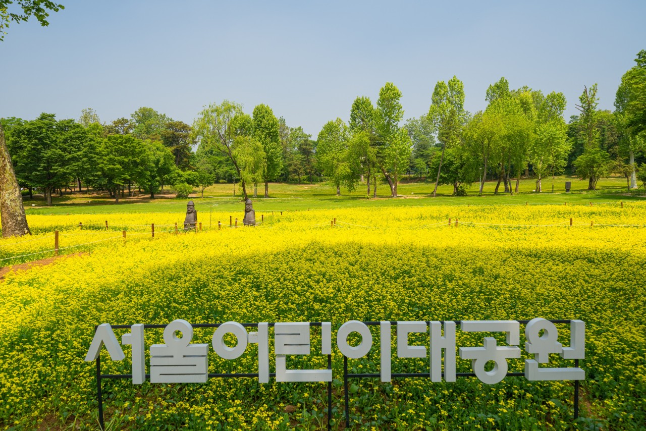 서울어린이대공원 반려견 놀이터