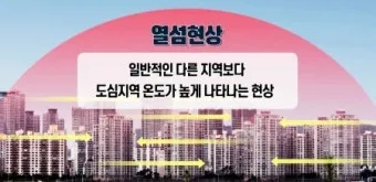 열섬 현상 도심 그늘길 이른 외출 수분 보충 습관_12