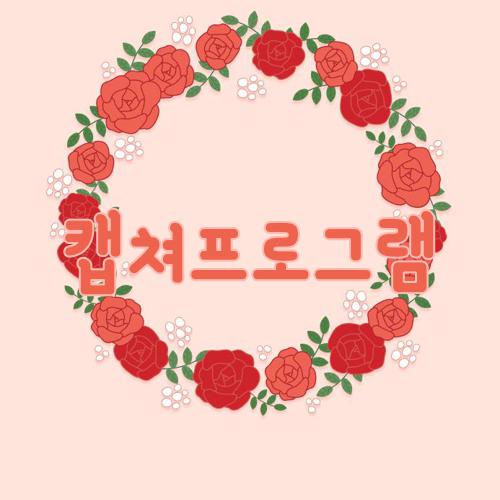 캡쳐프로그램