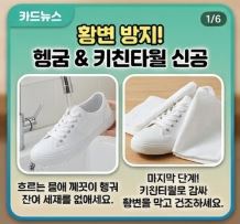  운동화 세탁법